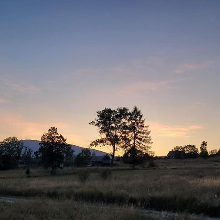 Vila Hamajdowka Zubrzyca Gorna Exteriér fotografie